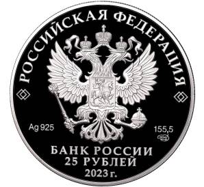 25 рублей 2023 года СПМД «Сохраним наш мир — Белка обыкновенная»