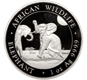 100 шиллингов 2024 года Сомали «Африканская дикая природа — Африканский слон»