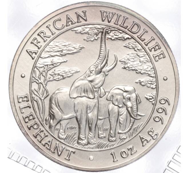 Монета 5000 квач 2003 года Замбия «Дикая природа Африки — Слоны» (Артикул K11-101016)
