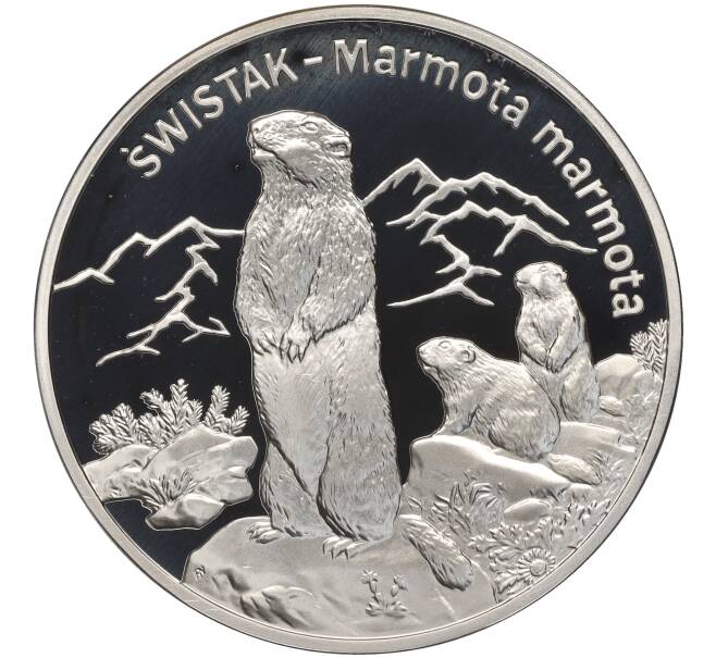 Монета 20 злотых 2006 года Польша «Всемирная природа — Сурок» (Артикул: K11-101018) — Фото №1