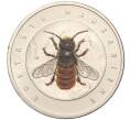 Монета 5 евро 2023 года D Германия «Чудесный мир насекомых — Рыжая осмия» (Артикул M2-67309)