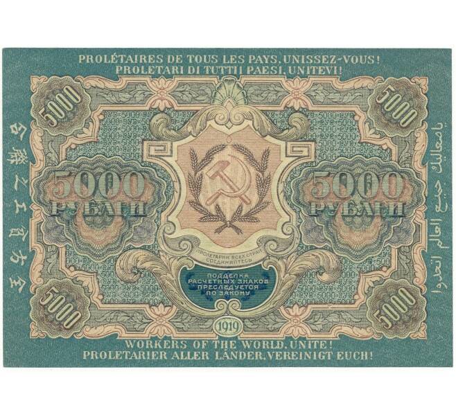 Банкнота 5000 рублей 1919 года (Артикул B1-10561)