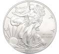 Монета 1 доллар 2013 года США «Шагающая Свобода» (Артикул M2-67334)