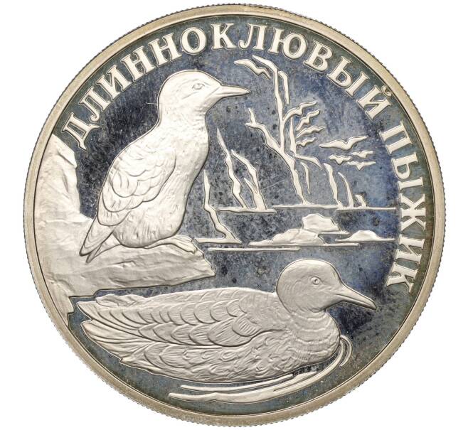 Монета 1 рубль 2005 года СПМД «Красная книга — Длинноклювый пыжик» (Артикул M1-55363)
