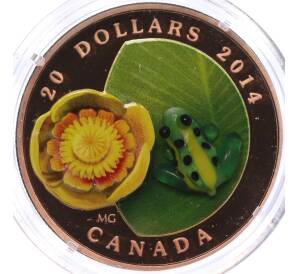 20 долларов 2014 года Канада «Водяная лилия и леопардовая лягушка»