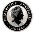 Монета 1 доллар 2022 года Австралия «Австралийский клинохвостый орел» (Артикул M2-55456)