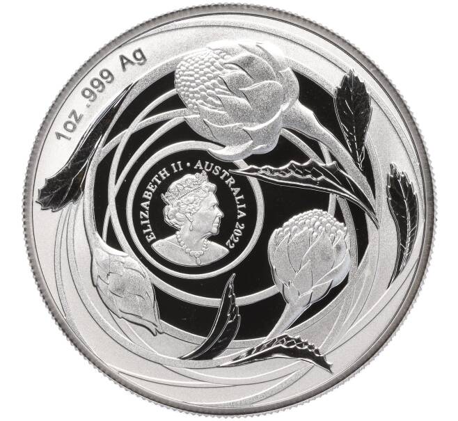Монета 1 доллар 2022 года Австралия «Дикие цветы Австралии — Телопея» (Артикул M2-57998)