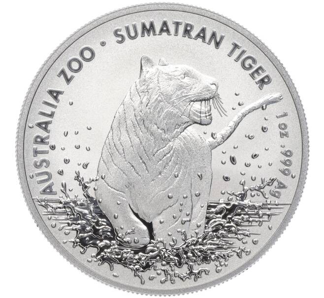 Монета 1 доллар 2020 года Австралия «Австралийский зоопарк — Суматранский тигр» (Артикул M2-53767)