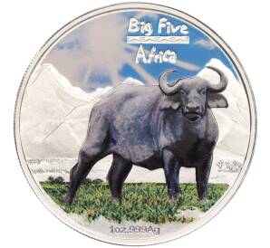 240 франкков 2008 года Конго (ДРК) «Большая пятёрка Африки — Африканский буйвол»