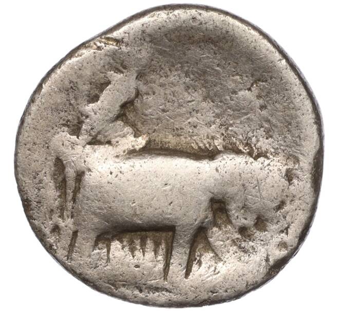 Монета Драхма 360-325 года Неаполис (Кампания) (Артикул M2-67772)