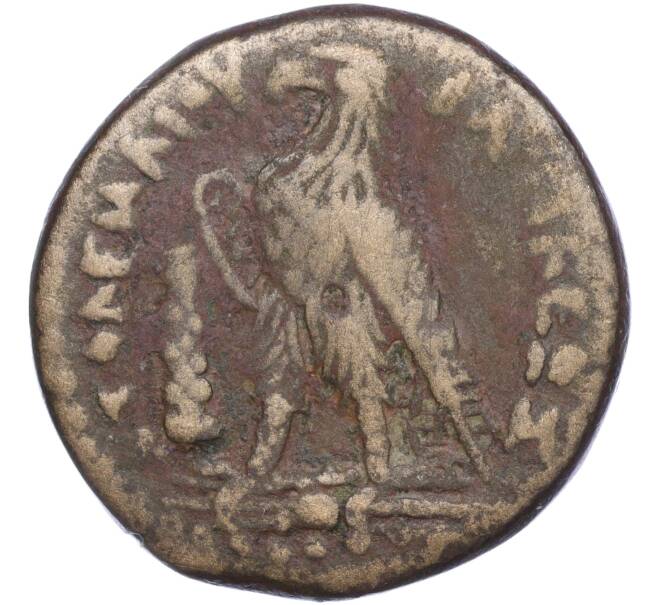 Монета Дупондий 240-180 года до н.э. Египет — Птолемей V Эпифанес (Артикул: M2-67778) — Фото №2