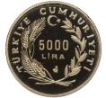 Монета 5000 лир 1992 года Турция «500 лет мира и гармонии — турецкие евреи» (Артикул: M2-67988) — Фото №2