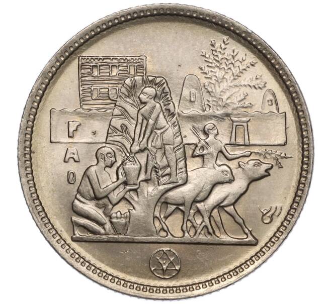 Монета 5 пиастров 1977 года Египет «Продовольственная программа — ФАО» (Артикул K11-102636)