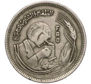 5 пиастров 1978 года Египет «Продовольственная программа — ФАО»