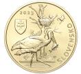 Монета 5 евро 2023 года Словакия «Черный аист» (Артикул M2-68255)