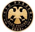 Монета 100 рублей 2003 года ММД «Окно в Европу — Петрозаводск» (Артикул: M1-56131) — Фото №2