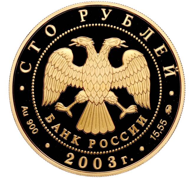 Монета 100 рублей 2003 года ММД «Окно в Европу — Петрозаводск» (Артикул: M1-56131) — Фото №2