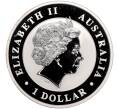 Монета 1 доллар 2012 года Австралия «Австралийская коала» (Артикул M2-68366)