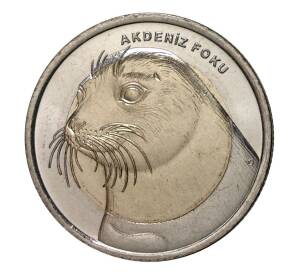 1 лира 2013 года Тюлень-Монах — Фото №1