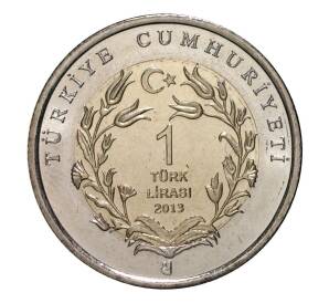 1 лира 2013 года Тюлень-Монах — Фото №2