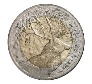 1 лира 2012 года Олень — Фото №1