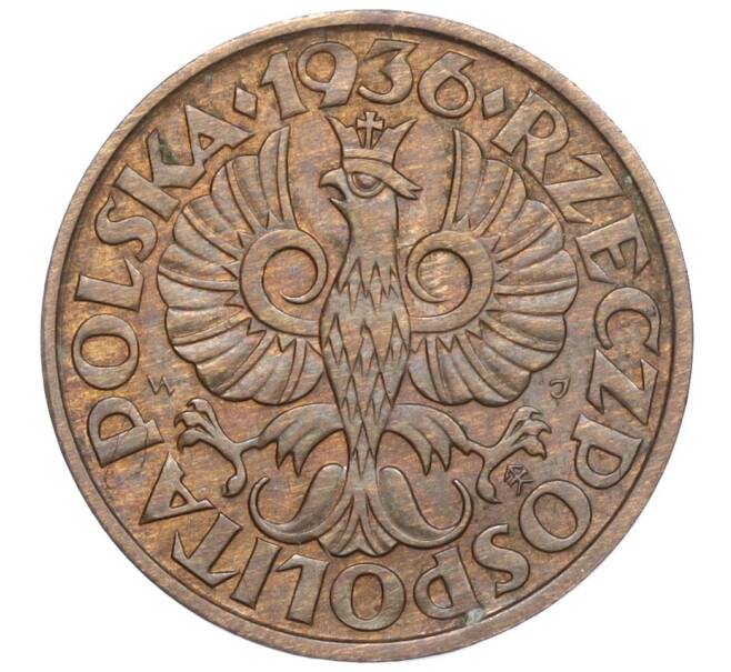 Монета 2 гроша 1936 года Польша (Артикул: M2-68542) — Фото №1
