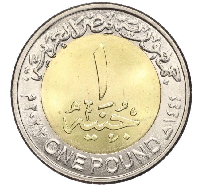 Монета 1 фунт 2023 года Египет «День полиции (71 год полиции)» (Артикул M2-68722)