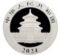 Монета 10 юаней 2024 года Китай «Панда» (Артикул M2-68819)
