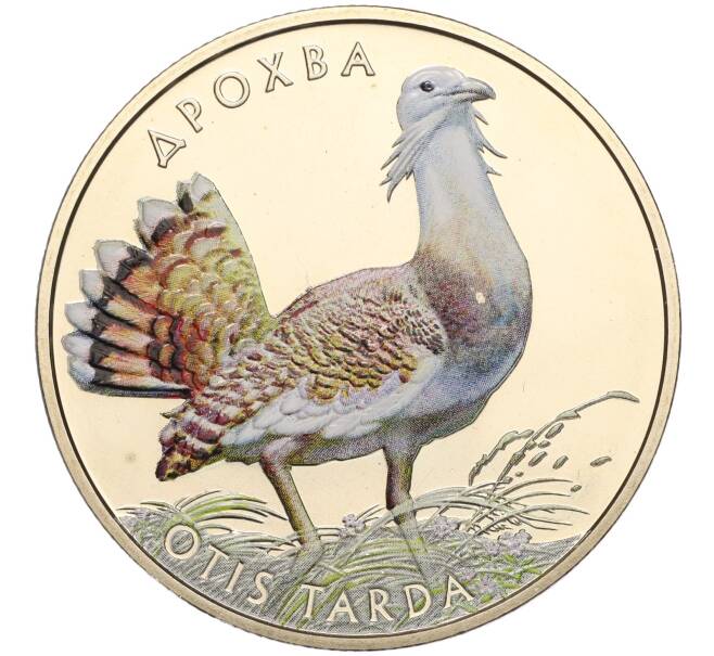 Монета 2 гривны 2013 года Украина «Флора и фауна — Дрофа» (Артикул: K11-103951) — Фото №1