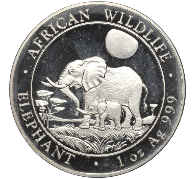 Монета 100 шиллингов 2011 года Сомали «Фауна Африки — Африканский слон» (Артикул K11-104039)