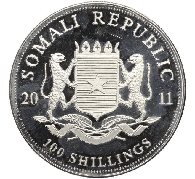 Монета 100 шиллингов 2011 года Сомали «Фауна Африки — Африканский слон» (Артикул K11-104039)