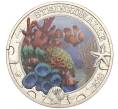 Монета 3 евро 2023 года Австрия «Светящаяся морская жизнь — Каменный коралл» (Артикул M2-69432)