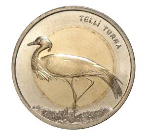 1 лира 2013 года Красная книга — Журавль-Красавка — Фото №1