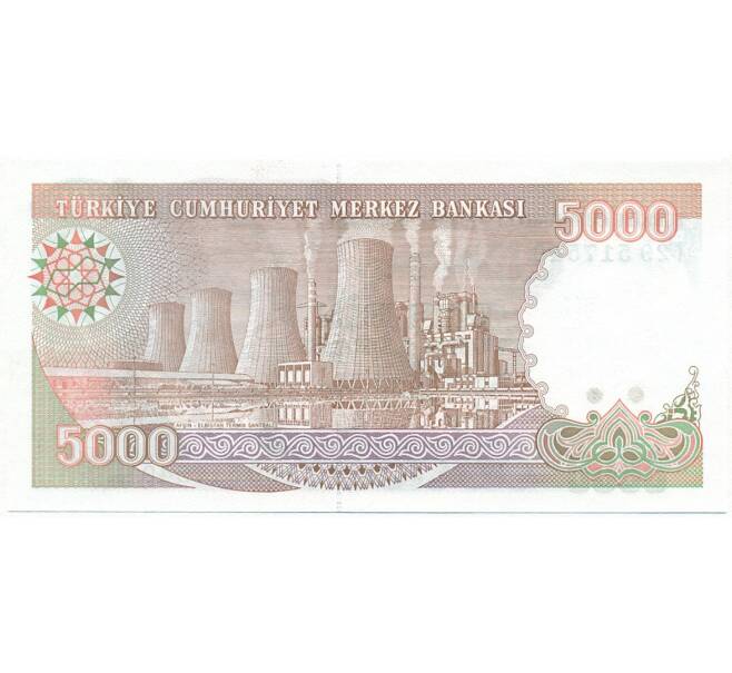 Банкнота 5000 лир 1988 года Турция (Артикул K11-105899)
