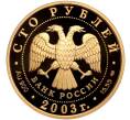 Монета 100 рублей 2003 года СПМД «Географическая серия — Первая Камчатская экспедиция» (Артикул: M1-58083) — Фото №2