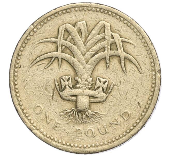 Монета 1 фунт 1985 года Великобритания (Артикул K11-108088)
