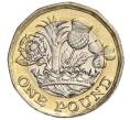Монета 1 фунт 2016 года Великобритания (Артикул K11-108126)