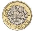 Монета 1 фунт 2016 года Великобритания (Артикул K11-108129)