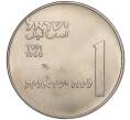 Монета 1 лира 1960 года Израиль «50 лет Дгании» (Артикул K11-108767)