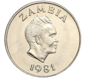 20 нгве 1981 года Замбия «ФАО»