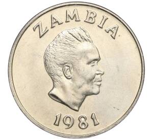 20 нгве 1981 года Замбия «ФАО»