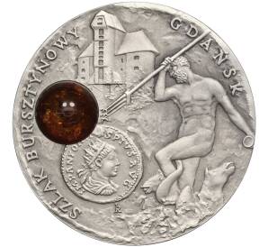 1 доллар 2008 года Ниуэ «Янтарный путь — Гданьск» — Фото №1