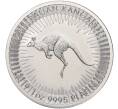Монета 100 долларов 2019 года Австралия «Австралийский кенгуру» (Артикул M2-70402)