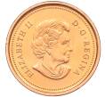 Монета 1 цент 2005 года Канада (Артикул T11-01080)