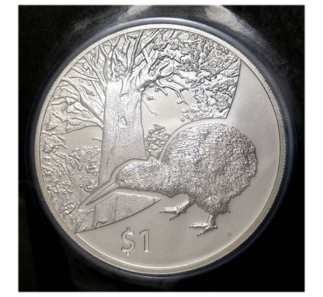Монета 1 доллар 2013 года Новая Зеландия — Киви (в буклете) (Артикул M2-5237)