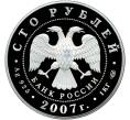 Монета 100 рублей 2007 года СПМД «Андрей Рублев» (Артикул M1-58198)