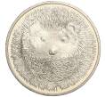 Монета 50 тенге 2013 года Казахстан «Красная книга — Длинноиглый еж» (Артикул M2-70973)