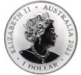 Монета 1 доллар 2023 года Австралия «Самая опасная в Австралии — Австралийская коробчатая медуза» (Артикул M2-71006)