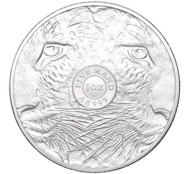 Монета 5 рэндов 2023 года ЮАР «Большая Пятерка — Леопард» (в буклете) (Артикул M2-71100)