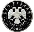 Монета 100 рублей 2000 года ММД «Россия на рубеже тысячелетий» (Артикул M1-58261)